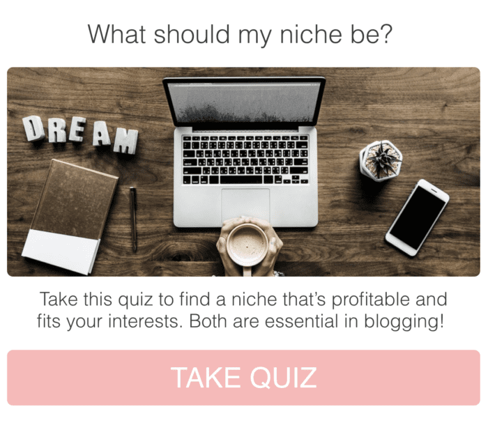 niche quiz on ladybossblogger